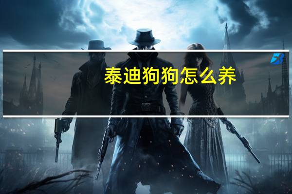 泰迪狗狗怎么养