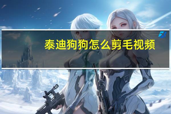 泰迪狗狗怎么剪毛视频