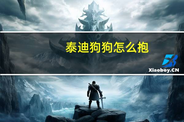 泰迪狗狗怎么抱