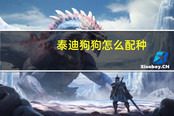 泰迪狗狗怎么配种