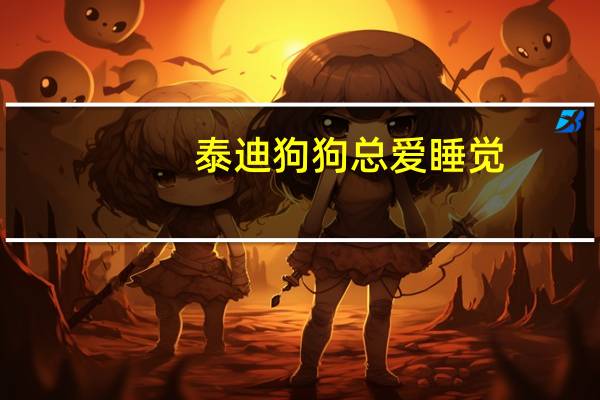泰迪狗狗总爱睡觉