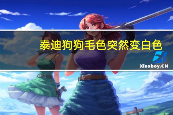 泰迪狗狗毛色突然变白色