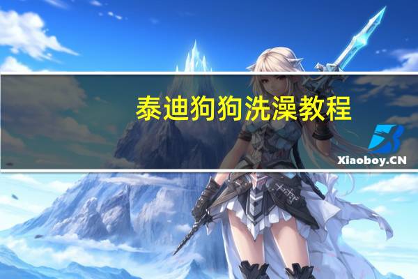 泰迪狗狗洗澡教程