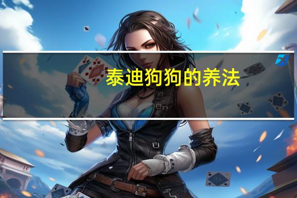 泰迪狗狗的养法