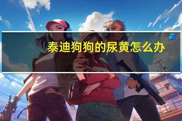 泰迪狗狗的尿黄怎么办
