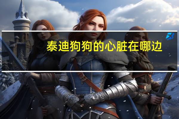 泰迪狗狗的心脏在哪边