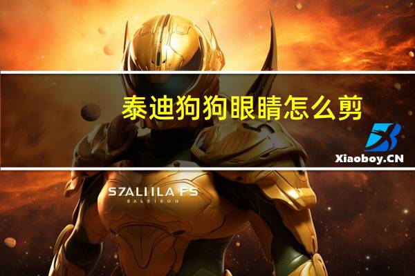 泰迪狗狗眼睛怎么剪