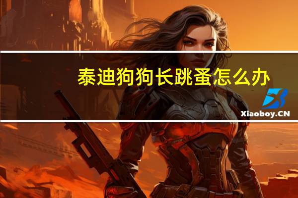 泰迪狗狗长跳蚤怎么办