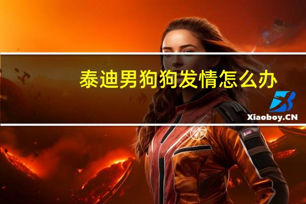 泰迪男狗狗发情怎么办