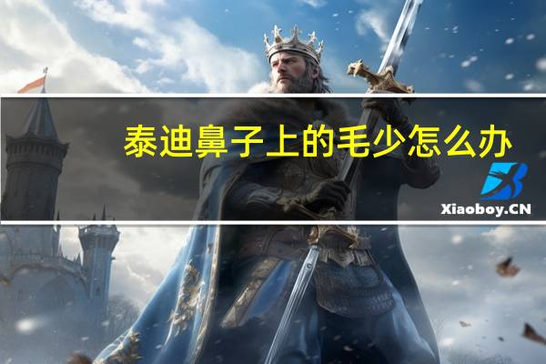 泰迪鼻子上的毛少怎么办