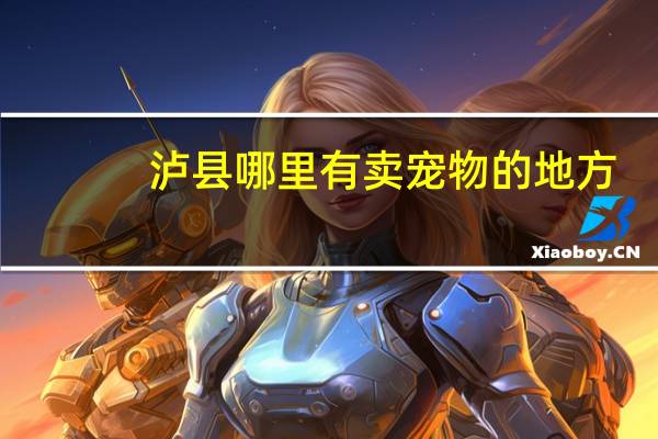 泸县哪里有卖宠物的地方