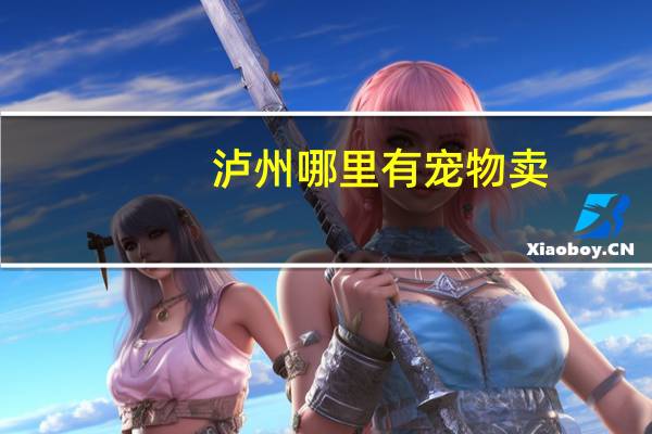 泸州哪里有宠物卖