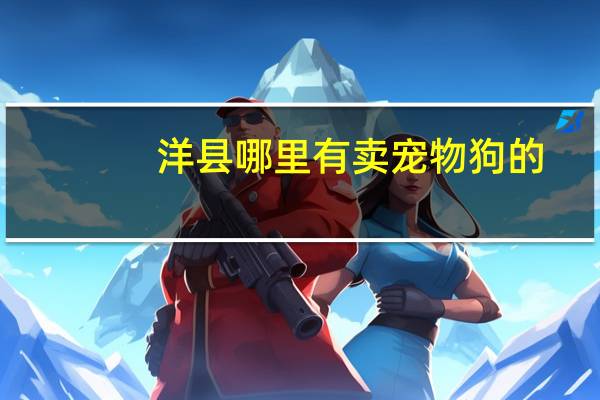 洋县哪里有卖宠物狗的