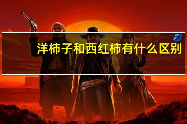洋柿子和西红柿有什么区别