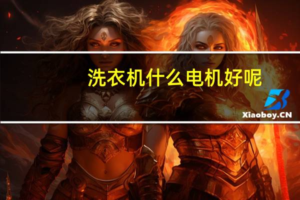 洗衣机什么电机好呢