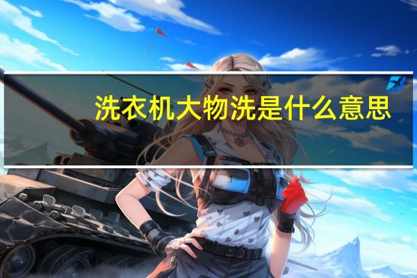洗衣机大物洗是什么意思