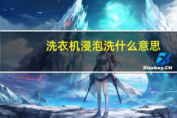 洗衣机浸泡洗什么意思