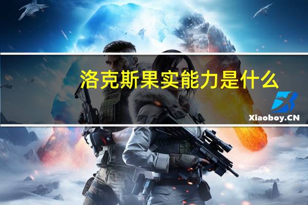 洛克斯果实能力是什么