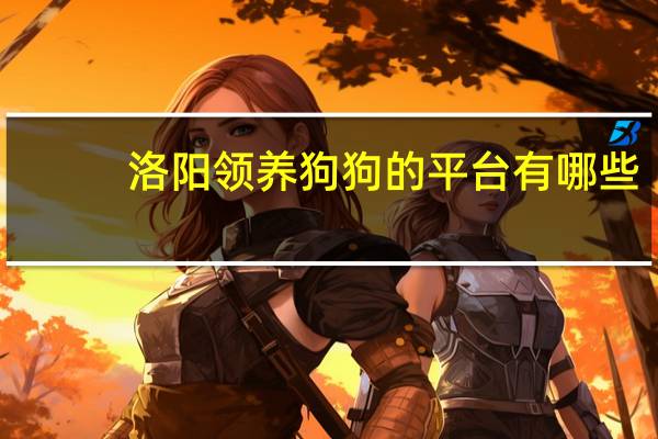 洛阳领养狗狗的平台有哪些