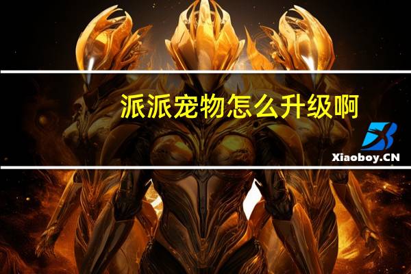 派派宠物怎么升级啊