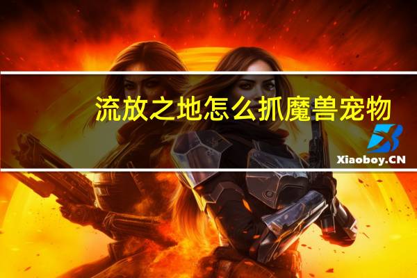 流放之地怎么抓魔兽宠物