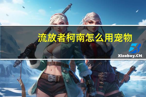 流放者柯南怎么用宠物