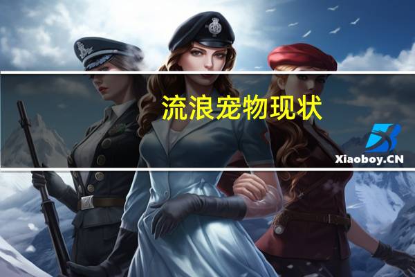 流浪宠物现状