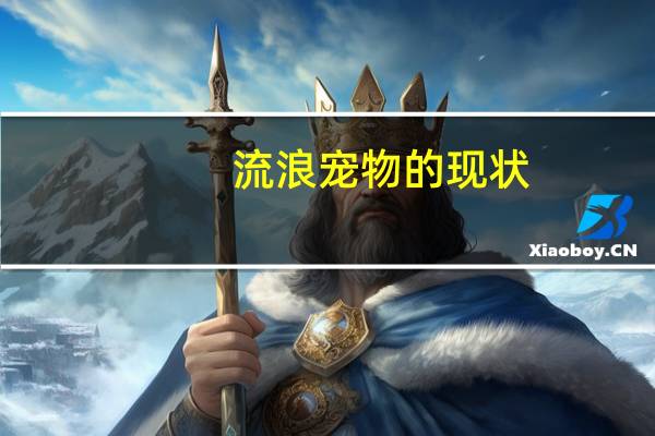 流浪宠物的现状