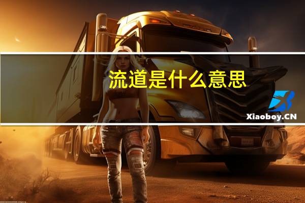 流道是什么意思
