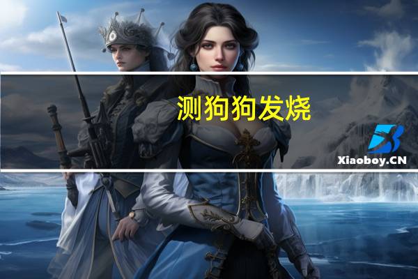 测狗狗发烧
