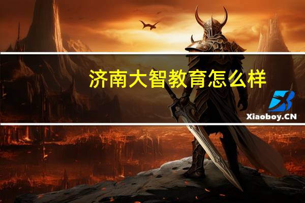 济南大智教育怎么样