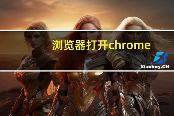 浏览器打开chrome