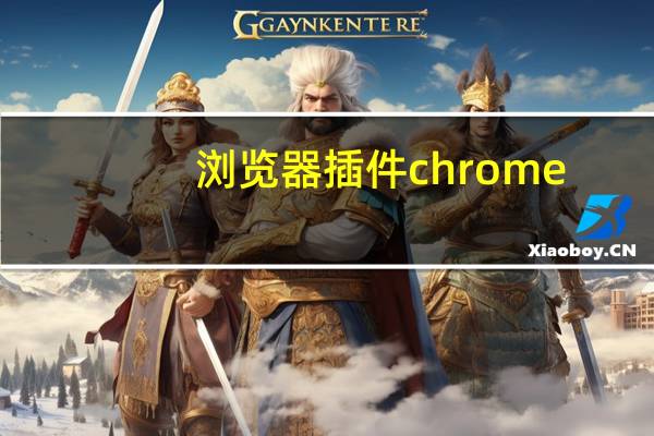 浏览器插件chrome
