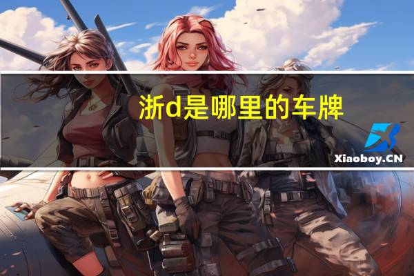 浙d是哪里的车牌