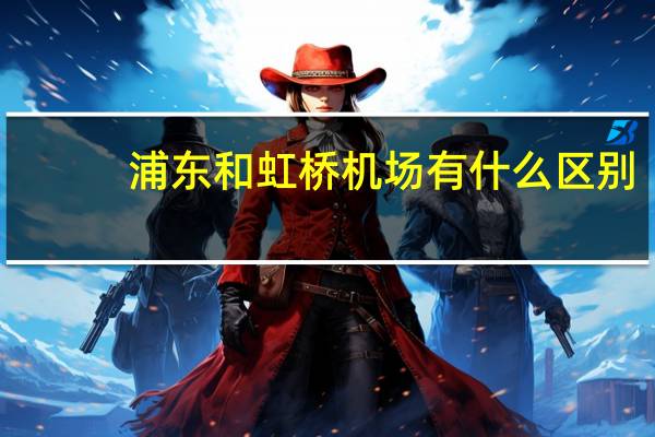 浦东和虹桥机场有什么区别