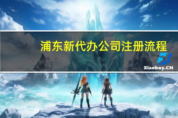 浦东新代办公司注册流程