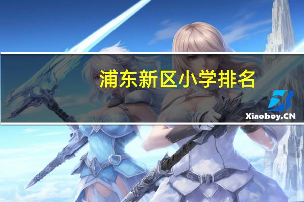 浦东新区小学排名