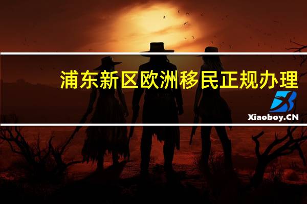 浦东新区欧洲移民正规办理