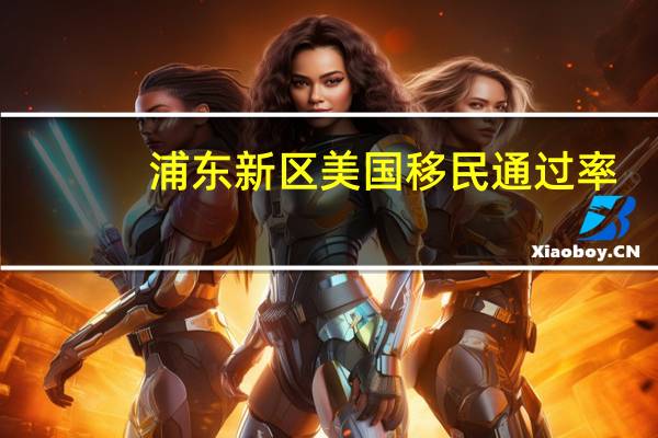 浦东新区美国移民通过率