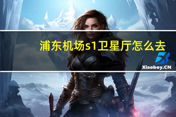 浦东机场s1卫星厅怎么去