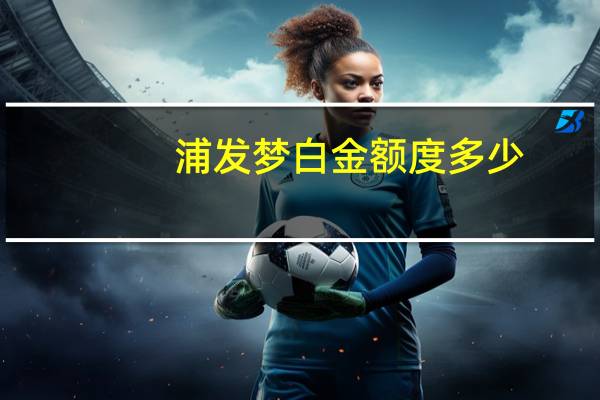 浦发梦白金额度多少