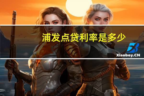 浦发点贷利率是多少