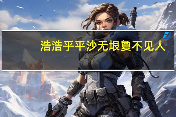 浩浩乎平沙无垠夐不见人