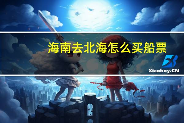 海南去北海怎么买船票
