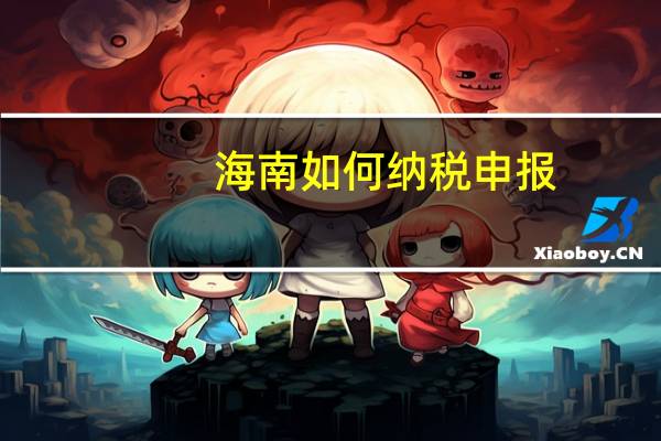 海南如何纳税申报