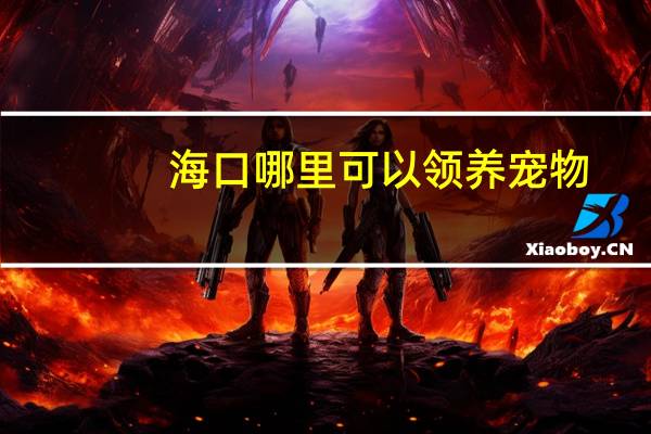 海口哪里可以领养宠物