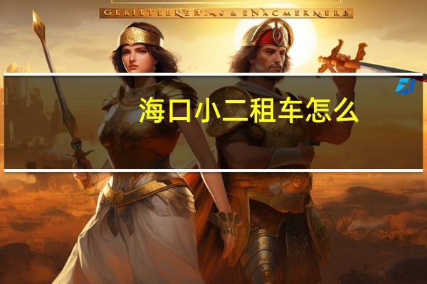 海口小二租车怎么