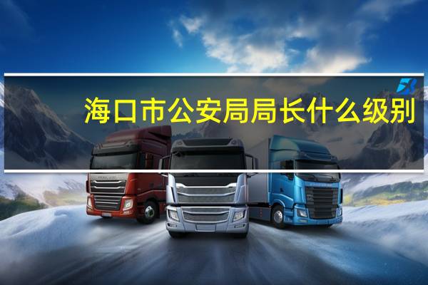 海口市公安局局长什么级别