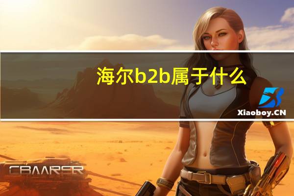 海尔b2b属于什么