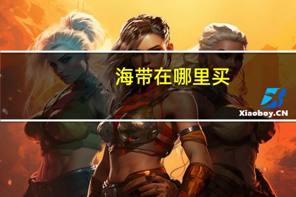 海带在哪里买